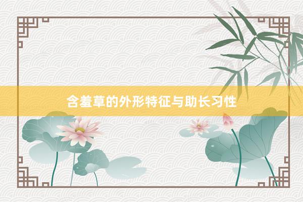 含羞草的外形特征与助长习性