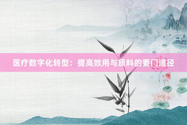 医疗数字化转型：提高效用与质料的要门道径